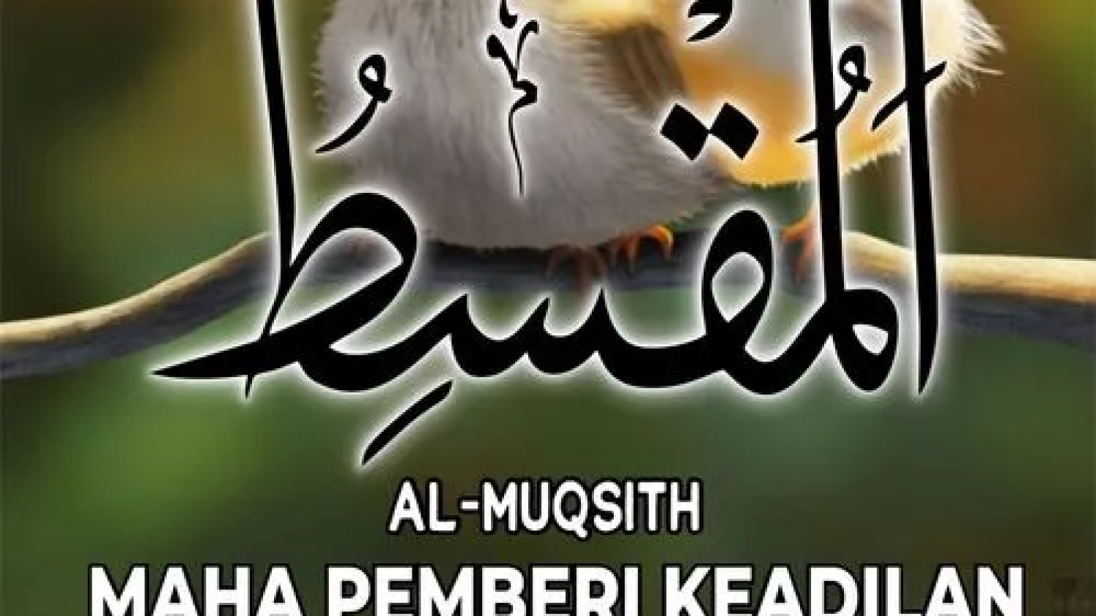 Al Muqsith - Yayasan Bina Amal Semarang